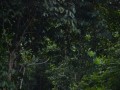 Tn DSC 3970